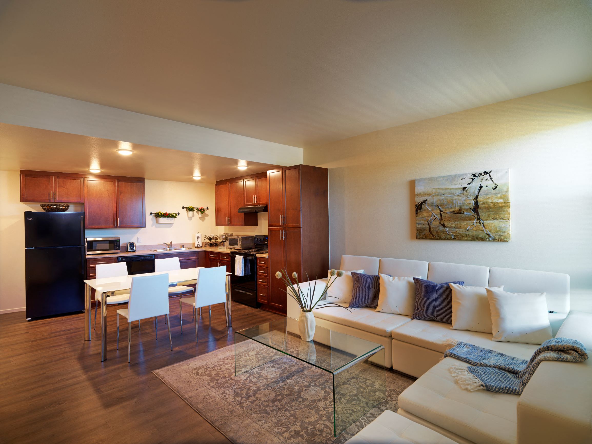 Juniper Senior Apartments Apartment and Community Amenities